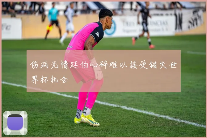 伤病无情廷伯心碎难以接受错失世界杯机会