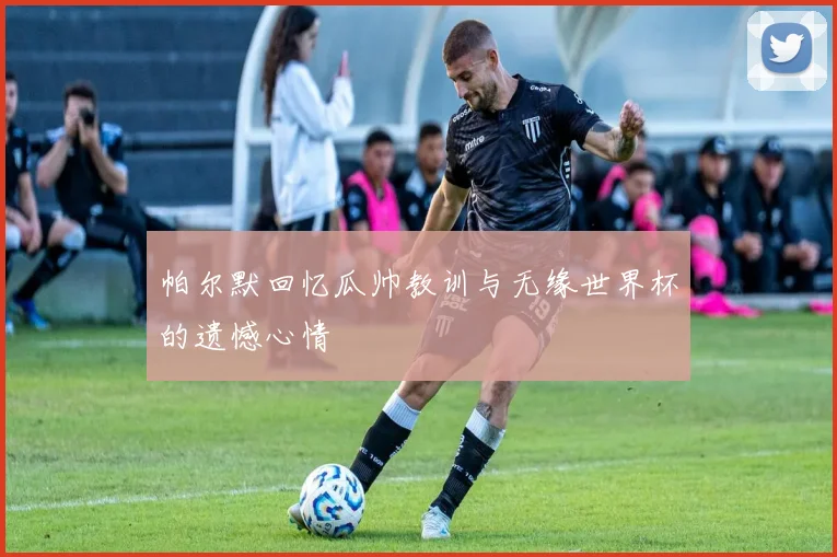 帕尔默回忆瓜帅教训与无缘世界杯的遗憾心情